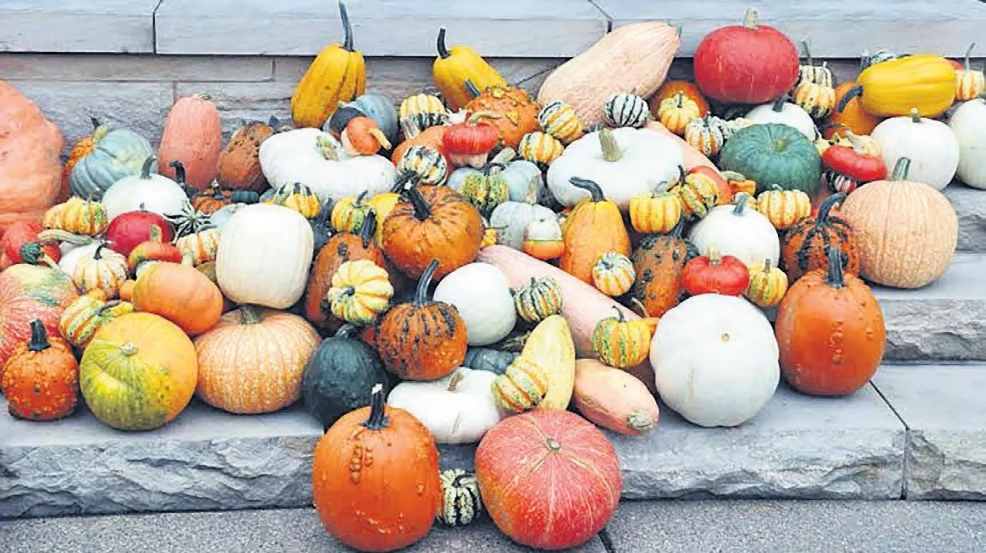 Sürpriz balkabağı lezzetleri