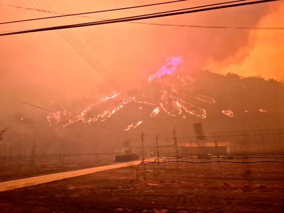Güney Kore’de Orman Yangınları Büyüyor